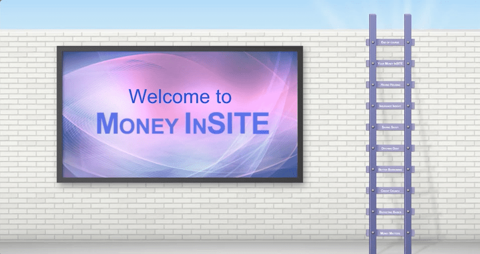 Money InSite